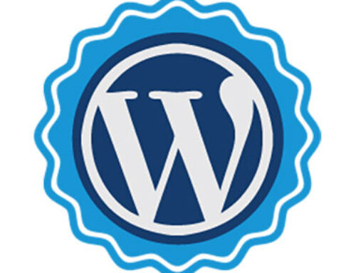 We know what we’re good at: WordPress Web Design and Local Internet Marketing.
