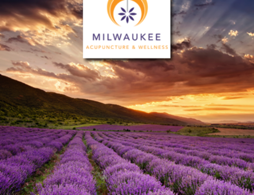 Milwaukee Acupuncture & Wellness