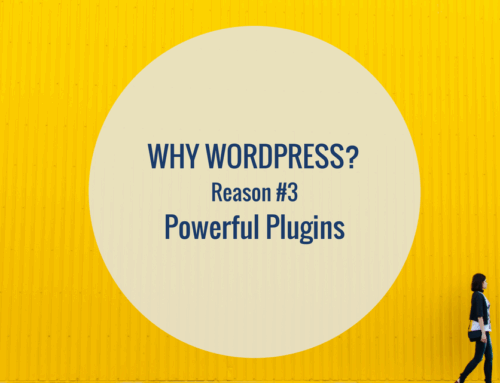 Why WordPress: Powerful Plugins