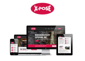 Wisconsin Utility Exposure